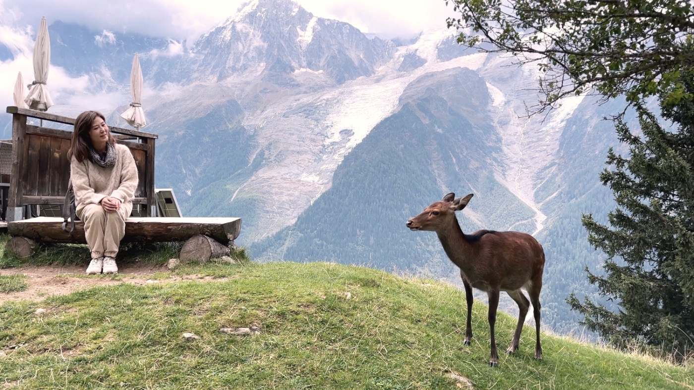 A deer beside a bench, Mont Blanc behind