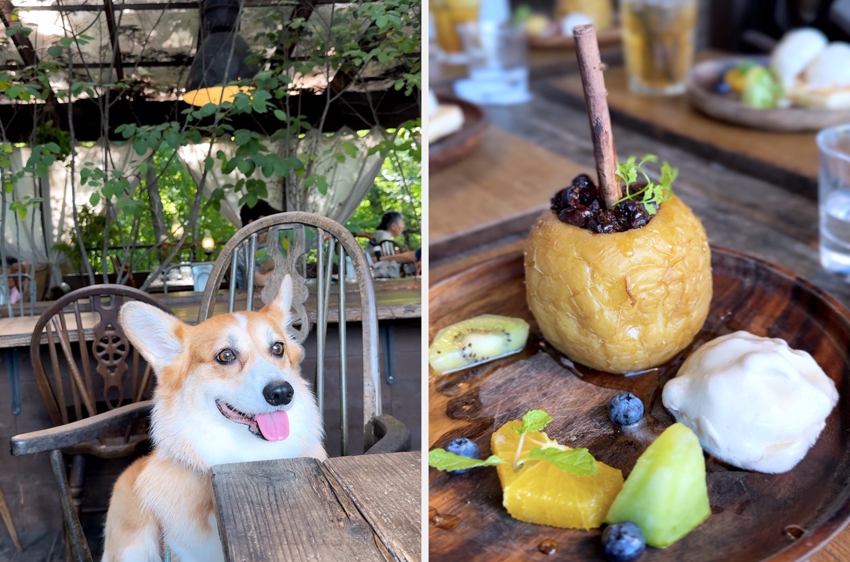 A countryside café and a baked-apple dessert